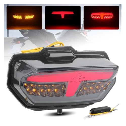Luz trasera LED para CRF1100L Africa Twin 2020-2024 con intermitentes 2