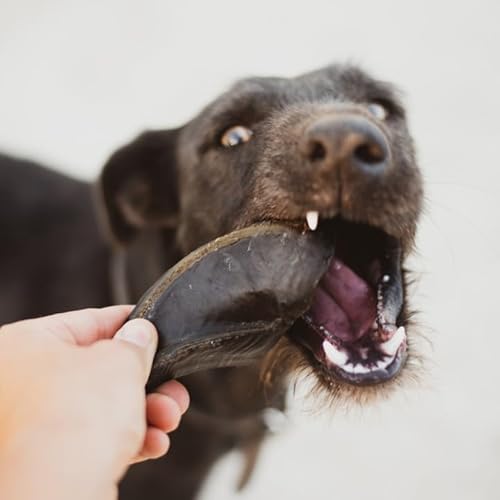 Natural Farm Casco Bovino Recheável E Resistente Para Cães, Petisco Para Cachorros Pacote Com 6 Unid