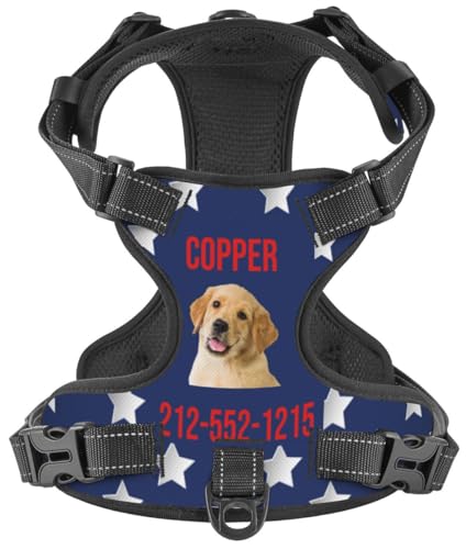 WINKEEY Pettorina per cani Personalizzata, Pettorina per cani Taglia Piccola, Media e Grande, ad h, Personalizzabile con nome e numero di telefono, Riflettente