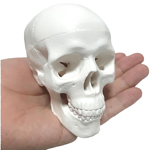 天然水晶の手彫り宇宙人の頭蓋骨（ミニ） 41n8xfCRXuL.jpg