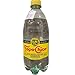 Topochico Mineral Drinking Water, 20 Oz. Plastic Bottles, (Pack of 12) - Visit Rancho Mix store