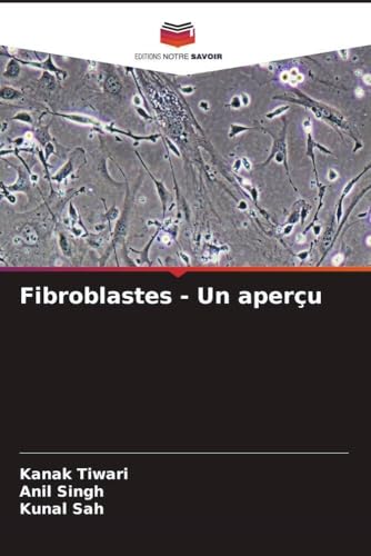 Fibroblastes - Un aperçu
