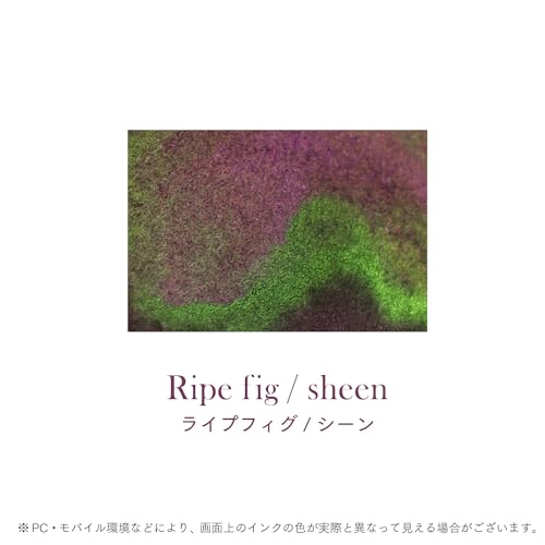 セーラー万年筆 つけペンインクセット-Dipton+hocoro 10-0251-702