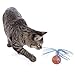 SmartyKat Twirly Top Electronic Motion Ball Cat Toy, Battery Powered - Randomly Selected Color, One Size