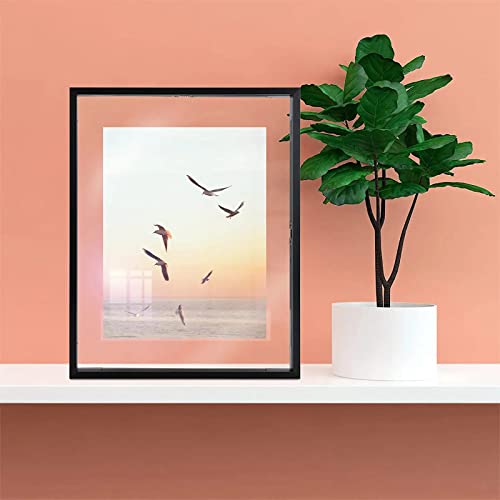 Frametory, Floating Picture Frame 11X14 - Black Metal Photo Frame - Real Glass - For Wall Mount Or Tabletop Displays #TOP6
