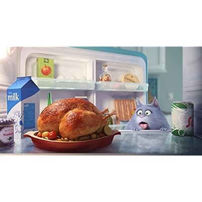 The Secret Life of Pets [DVD]