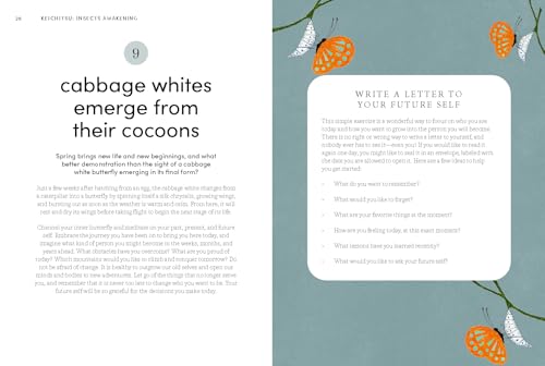 Microseasons: A Slow-Living Guide to the Year Following the Traditional Japanese Calendar - Image 10