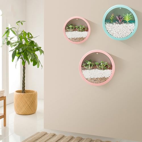 Pot de fleurs mural vertical pour intérieur et plantes vertes