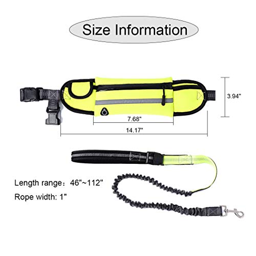 AIMENG Dog Leash with Waist Pack 2 Pieces Set Specials, Elastic Retractable Bungee Reflective Dog Leash & Multifunction Waist Pack Ideal for Medium to Large Dogs for Running Training Walking - Thumbnail 5