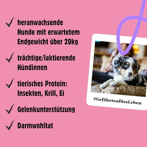 Fellows Großer Chaot Trockenfutter für heranwachsende Hunde – Speziell für Welpen großer Rassen, mit Insektenprotein, Krill und Ei, fördert gesundes Wachstum (500 g)