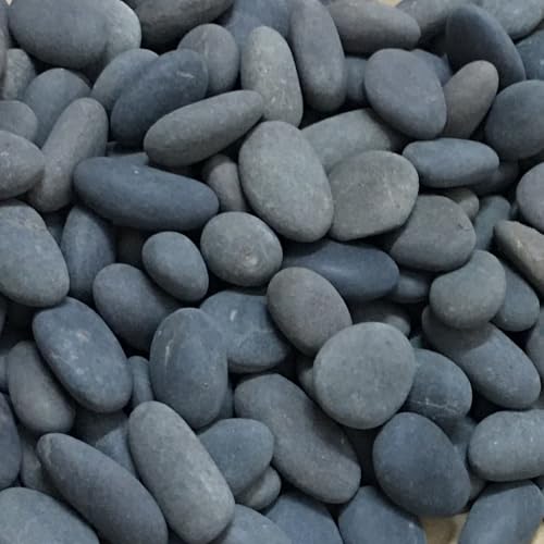 ruidinaways 900g Kiesel Natur Kieselsteine Dekorative Steine ​​Naturkiesel Kies für Aquarium, Garten, Deko & Pflanzen,Ungleichmäßige Bachsteine Steinschotter für Landschaftsgestaltung & DIY-Projekte