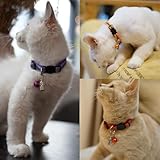 5 Stück Adressanhänger für Hunde Katzen, Katzenhalsband mit Namen, ID Tag Hundemarke Tiermarke mit Schlüsselringe, Hundehalsband Personalisiert, Adresskapsel für Haustiere, Katzen, Hunde