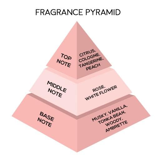 Image of JAQULINE USA Metro Muse Collection | Mini Pocket Long Lasting Perfume Combo | Gift Set | For Men Women - 15ml x 2
