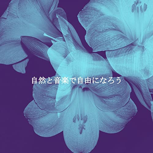 Amazon Music Dinner Music Deluxe, Sunny Jazz Cafe Barの自然と音楽で自由になろう