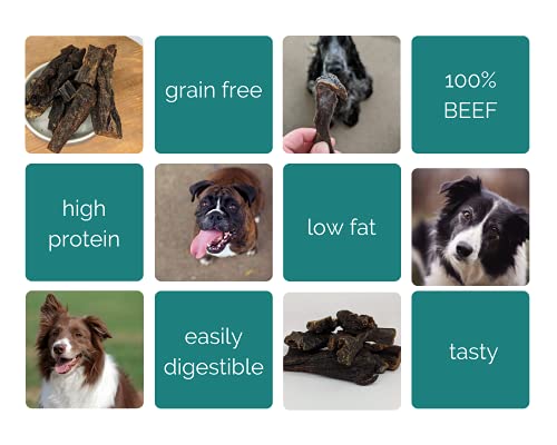 PawGang, Beef Liver 200g, 100% Natural Treats for Dogs Puppies Young Adult Old Small and Large Dog - Image 4