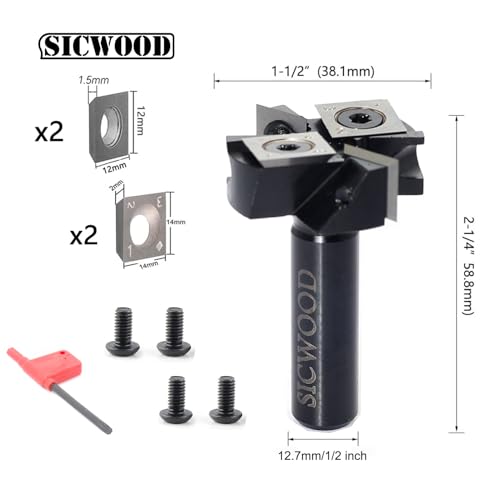 SICWOOD Slab Flattening Router Bit