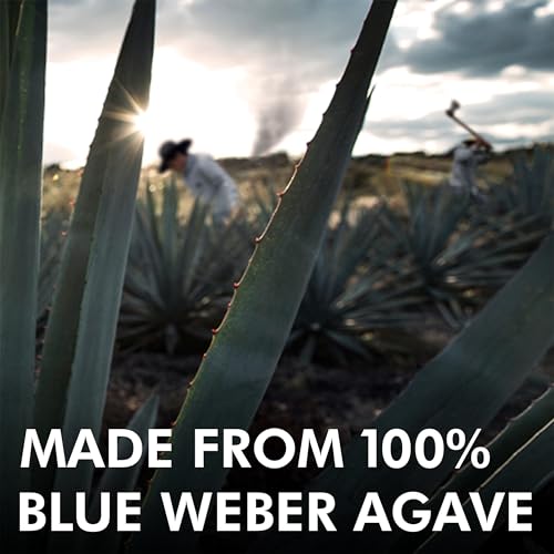 Casamigos Mezcal Young Blanco, Premium Mezcal, 40% vol, 700ml