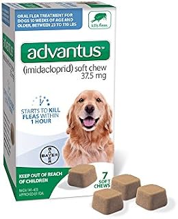 Bayer Animal Health Advantus (imidacloprid) Oral Dog Flea Treatment, Soft Flea Chews