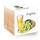 Hopfen-Samen Feel Green Ecocube 296343 für die eigene Anzucht