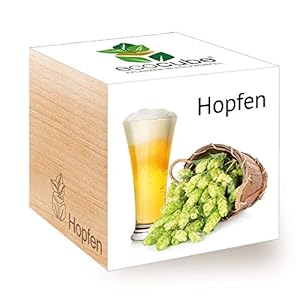 Feel Green Ecocube Hopfen, Idea Regalo sostenibile (100% Eco Friendly), Grow Your Own Craft Beer/Set di Coltivazione, Piante nel Dado di Legno, Made in Austria