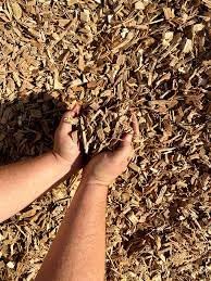STRC-Wood Chips, 5 Kgs- for GARDENING, MUSHROOM CULTIVATION and FUEL (B0D7QB642V) Amazon Price History, Amazon Price Tracker