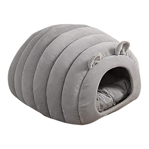 Best Tent Cot For Winter