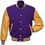 Purple Body and Gold Sleeve