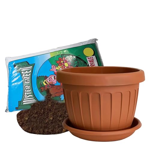 Maceta de jardín de terracota con platillo, con tierra incluida (40 cm)