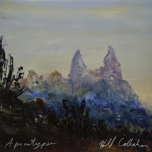 APOCALYPSE -Bill Callahan -Vinyle