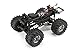 HPI Racing 106173 Wheely King 2.4 GHz 4 x 4 RTR Vehicle, 1/12 Scale