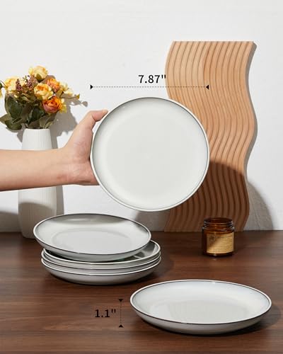 Image of Pokini Ceramic Dinner Plates Set of 6, 8inch Salad, Dessert Plates Dishes | Reactive Glaze Stoneware Dish Set, Dinner Plate for Dessert, Salad, Appetizer, Microwave & Dishwasher Safe, Scratch Resistant