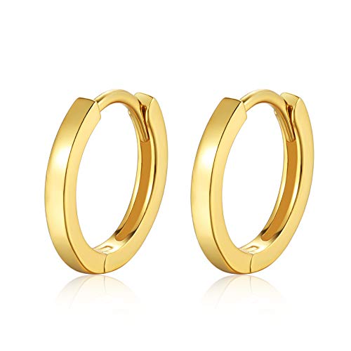 18K Gold Plated Sterling Silver Small Gold Hoop Earrings Simple Huggie Hoops