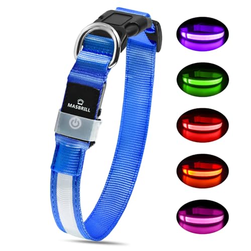 MASBRILL Collier Lumineux pour Chien Rechargeable, LED Collier Chien Etanche et Réglable 3 Modes d'éclairage, LED Clignotant Collier de Sécurité pour Petits Moyens Grands Chien(Bleu, L)