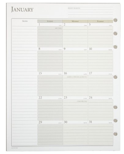 Day Runner Pro Recycled Monthly Planning Pages, 8 1/2 X 11 Inches, 2012 (491-685) #TOP1
