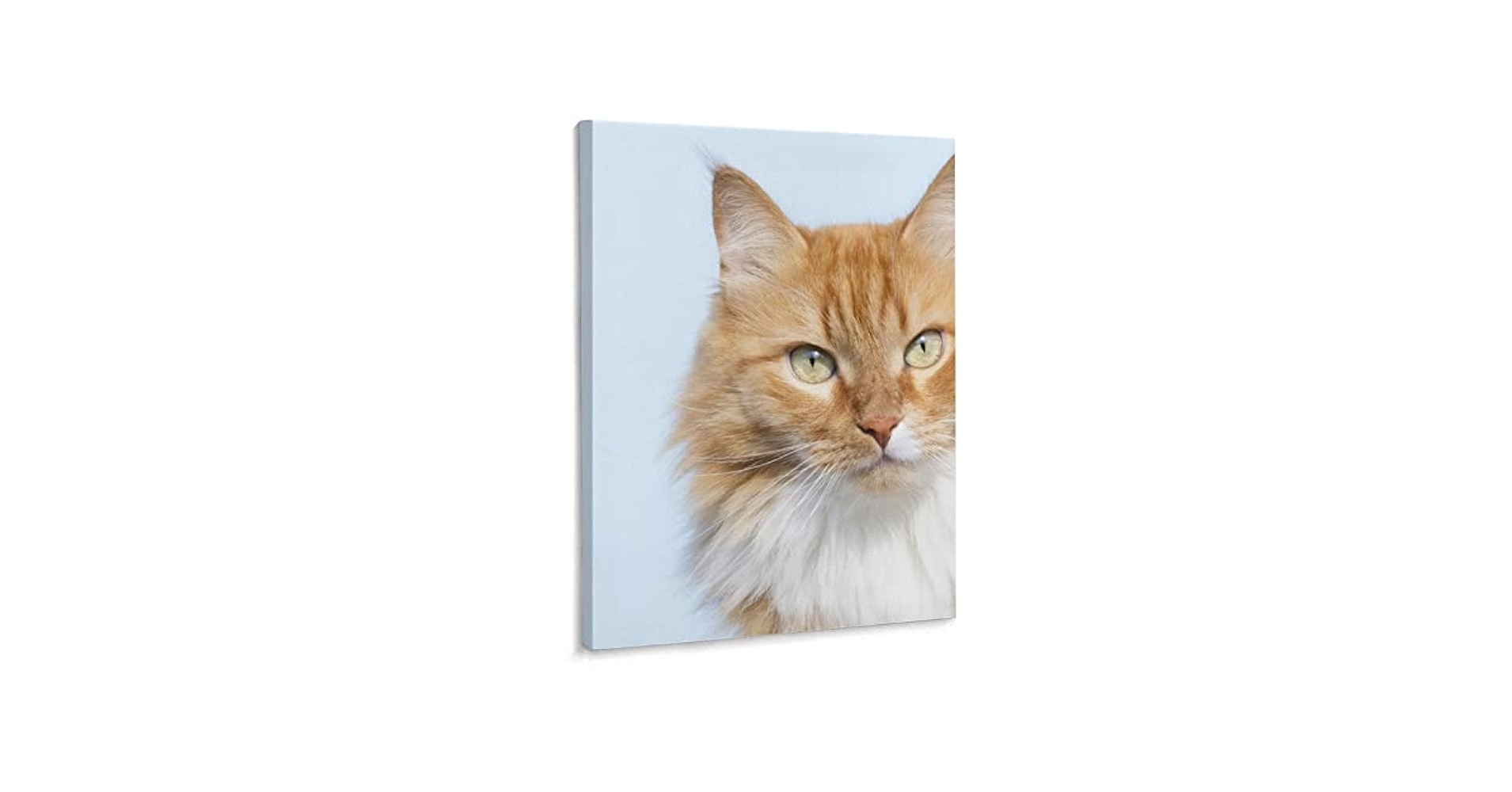 【原画販売】ノルウェージャンフォレストキャットの水彩画 一点物】『 優美な猫 ( ノルウェージャンフォレストキャット