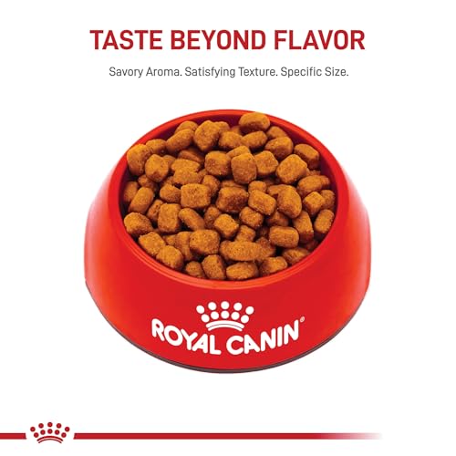 Royal Canin Feline Care Nutrition Dental Care Adult Dry Cat Food, 3 lb Bag