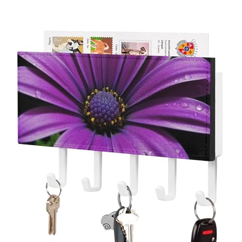 Gancho para llaves de pared resistente con 5 ganchos de metal para hogar 2