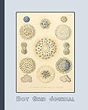 journal l'illustration 1916 prix  Dot grid journal: Ernst Haekel\'s Radiolaria (1862) microscopic organisms cover art for the vintage illustration appreciator or ocean lover - Light ... blue and grey radiolaria image cover art