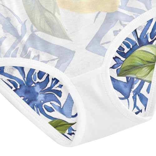 Kids Underwear, Sicilian Lemon White Blue Toddler Panties, Girls Underwear Cotton, 2T–8 Years4