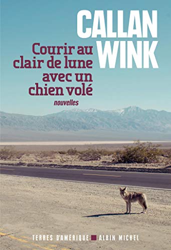Courir au clair de lune avec un chien volé