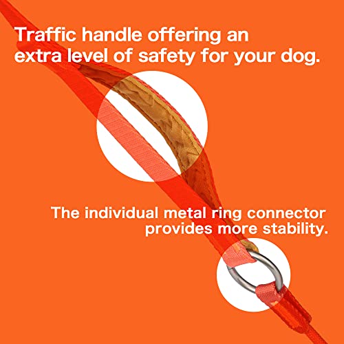 Howgo Dog Slip Lead Dog Leash,Training Leash,Cinch Leash, No-Pull Slip Leash And Collar,Heavy Duty&Durable,Padded Handle,For All Breeds #TOP3