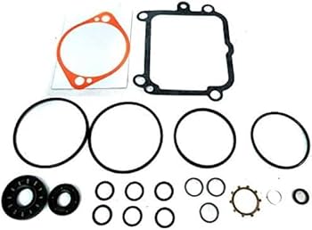 Amazon.com: Hydro-Gear 2PK Genuine Hydro Pump Rebuild