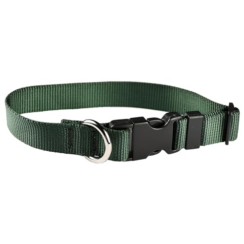 Image of Dog Collar - Colored Adjustable Pet Collars, 1 Inch Wide, Medium, Forest Green