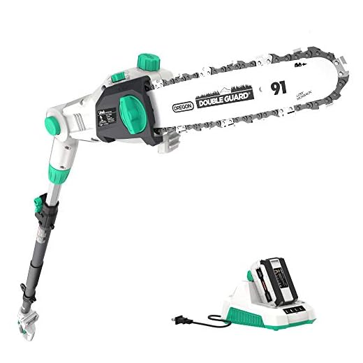 Litheli 40V Cordless Pole Saw 10 inches with 2.5AH Battery and Charger
