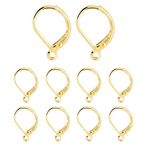 10Pcs 14K Gold Plated French Earrings Hooks 10x16mm Hypoallergenic Sterling Silver Earrings Findings Dangle Hoop with Loop Gold Ear Hooks Replaceable Leverback Hoops Supplies for Jewelry Making Set