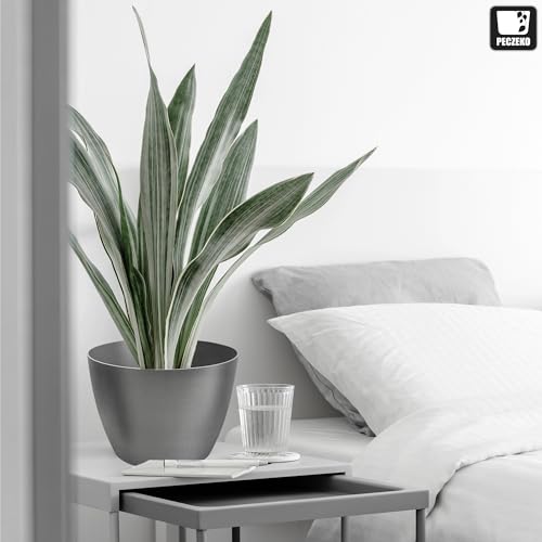 TULMERO Blumentopf matt, Pflanzkübel aus Übertopf Kunststoff Dekorativer Topf für, groß und klein Pflanzen, 2er-Set blumenkübel… – Ansicht 6