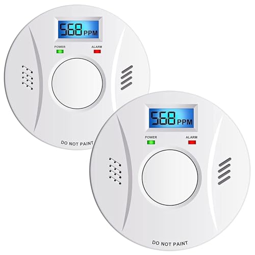2 Pack Smoke Detector and Carbon Monoxide Detector co2 Detector B...