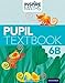 Inspire Maths: 6: Pupil Book 6B