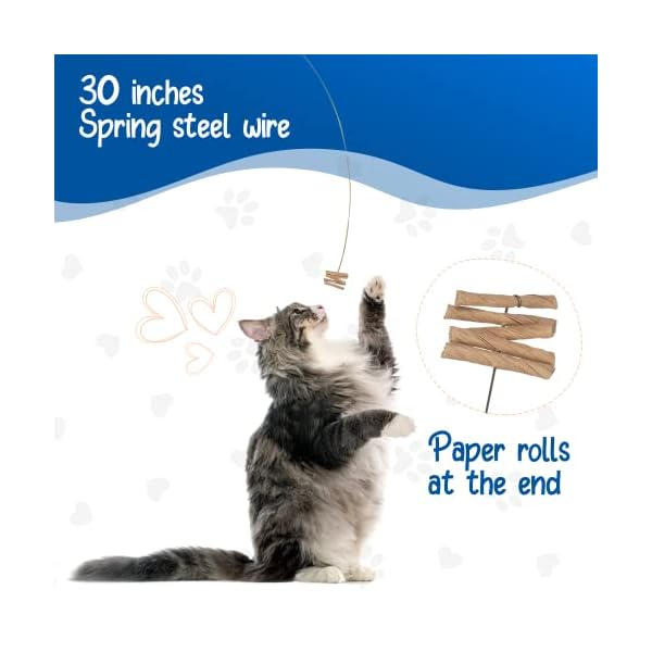 Cat Dancer Interaktives Katzenspielzeug – Spaß und Fitness für Ihren pelzigen Freund – fesselnde Papierrolle befestigt mit 76,2 cm flexiblem Federstahldraht für verspielte Katze – Bild 5