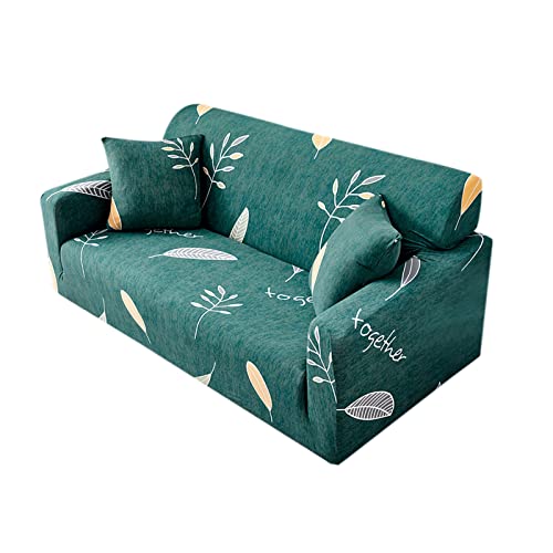 \t@Jo[ \t@[Jo[ }`Jo[ Xgb`f Lkǂ It _炩 \t@[ی 􂦂  ӂӂ  DG芴 lGKp Ol| 